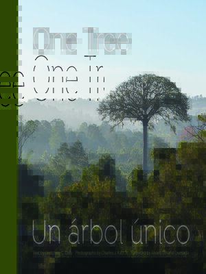cover image of One Tree